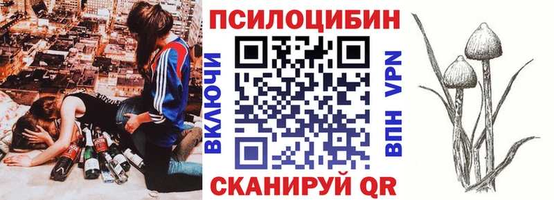 Псилоцибиновые грибы Cubensis  гидра ONION  Муром 